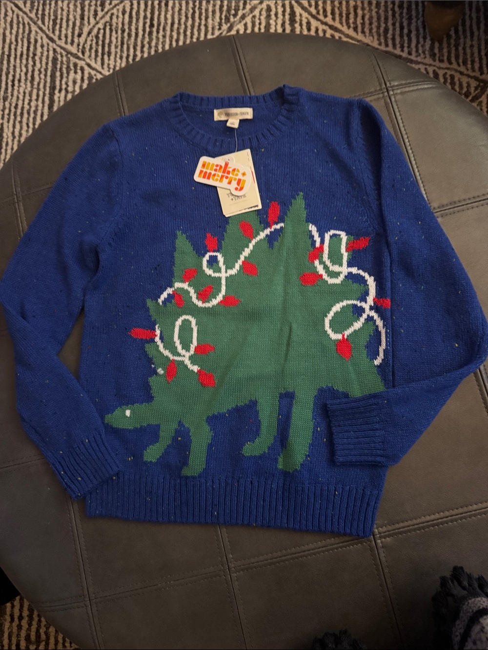 Kids Dino wearing holiday lights crew neck sweater